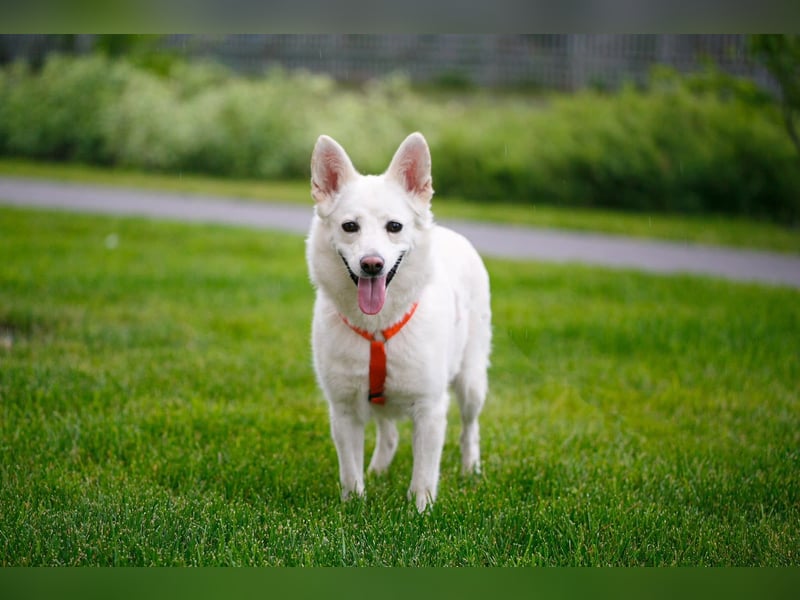 Sanfte Anika ❤️ sucht freundliche Menschen