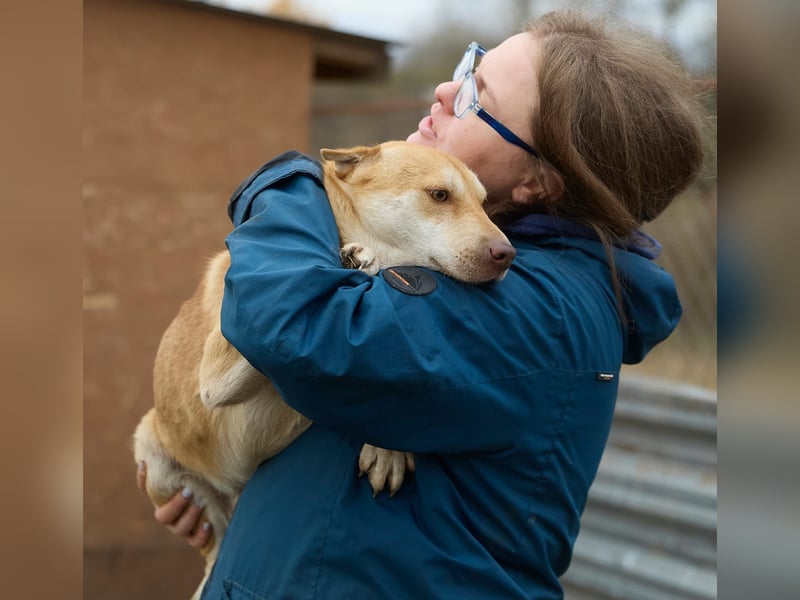 Fabelhafter Simba❤️sucht seine Menschen