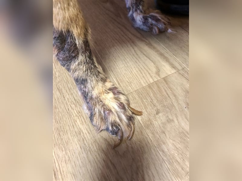 Ryzhyk ❤️  - wahre Schönheit kommt von innen