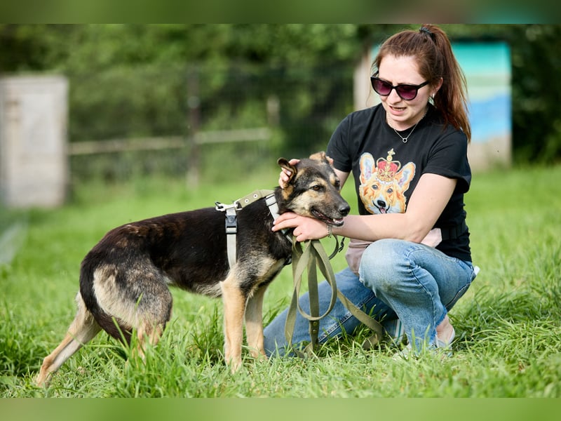 Elfi ❤️ Junge, freundliche Hündin sucht ihr Für-immer-Zuhause