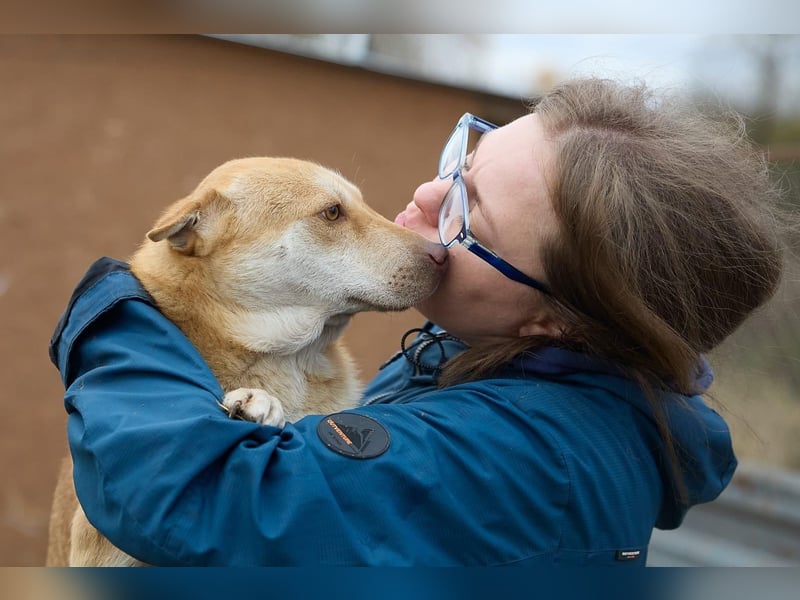 Fabelhafter Simba❤️sucht seine Menschen