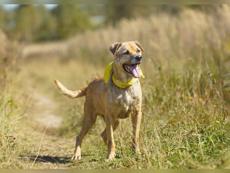 Jack ❤️ sucht sein Für-Immer-Zuhause