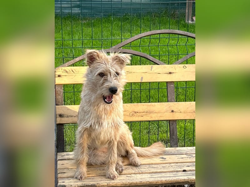 Lisette ❤️ hofft auf ein Happy End