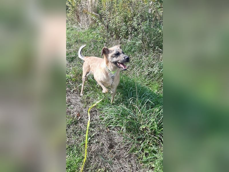 Ryzhyk ❤️  - wahre Schönheit kommt von innen