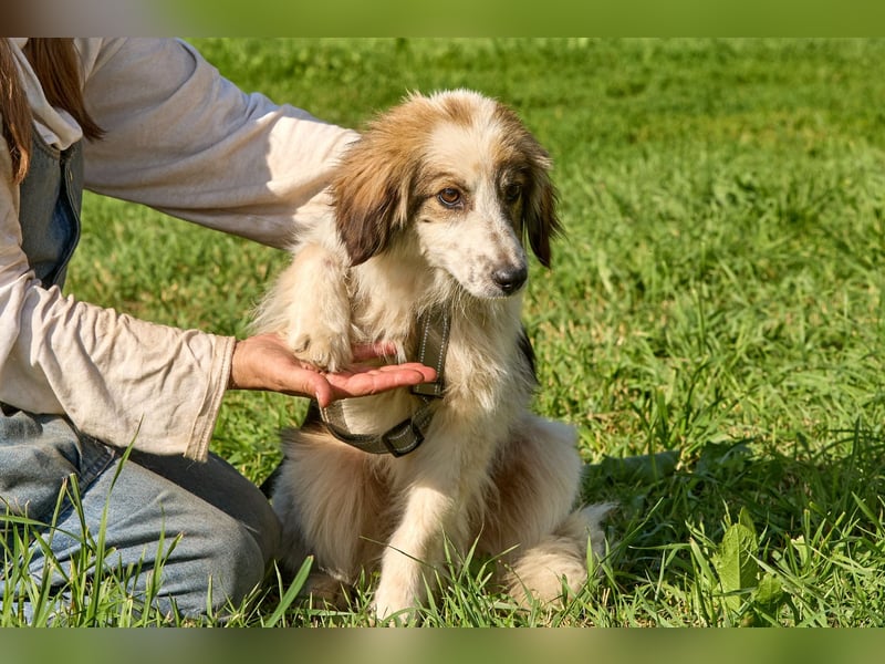 Faya ❤️ Kleine Kuschelprinzessin sucht ihre Herzensmenschen