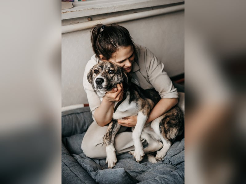 Verspielter Mitya ❤️ wünscht sich liebevolle Menschen