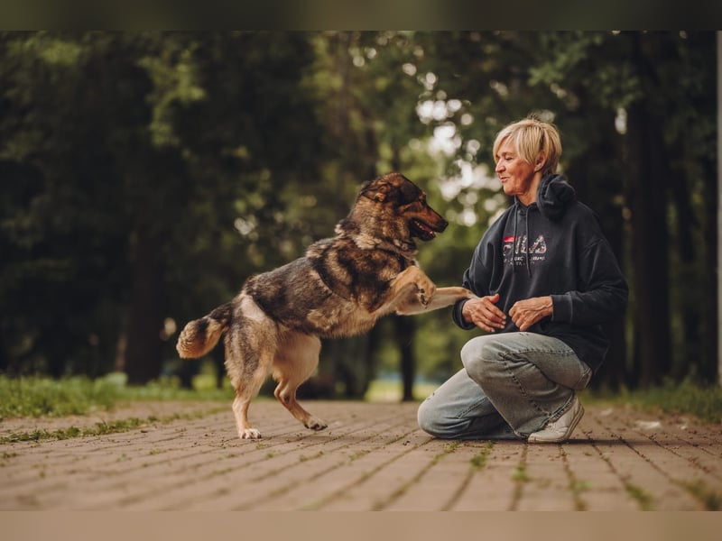 Freundliche und fröhliche Dana ❤️ sucht ihre Familie
