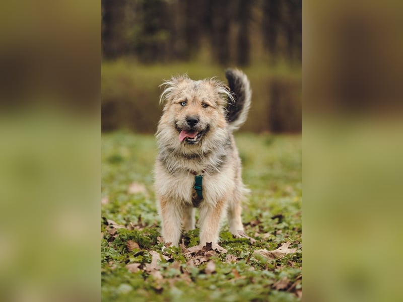 Frohnatur Osya ❤️ möchte ankommen