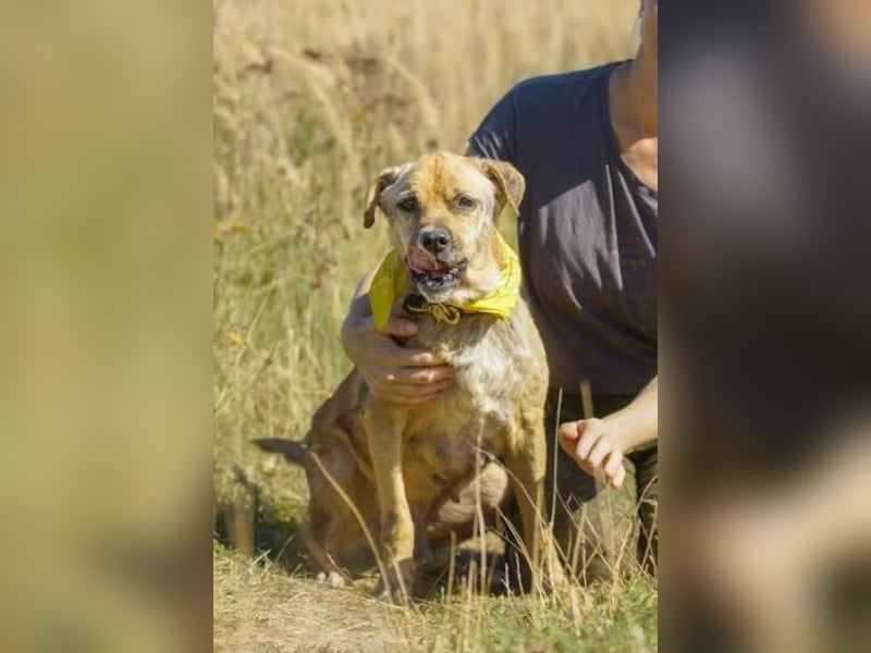 Jack ❤️ sucht sein Für-Immer-Zuhause
