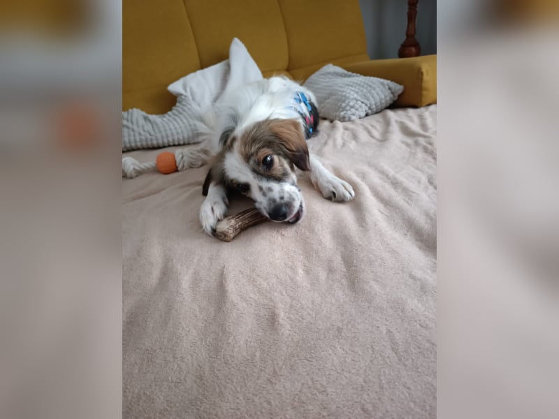 Faya ❤️ Kleine Kuschelprinzessin sucht ihre Herzensmenschen