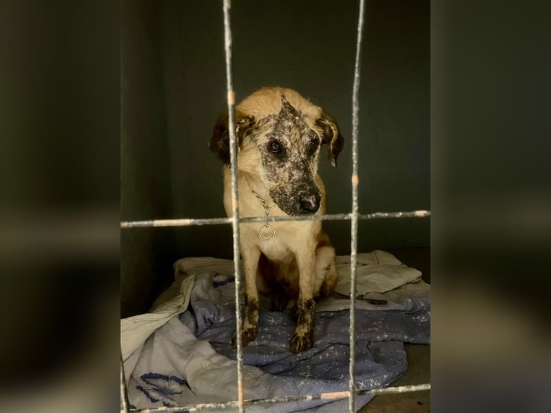 Ryzhyk ❤️  - wahre Schönheit kommt von innen