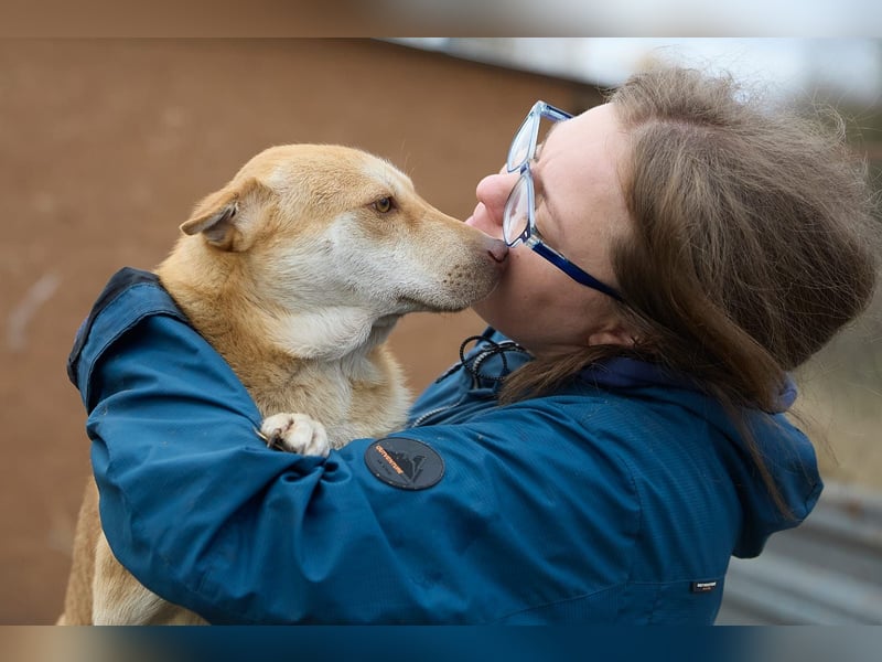 Fabelhafter Simba❤️sucht seine Menschen