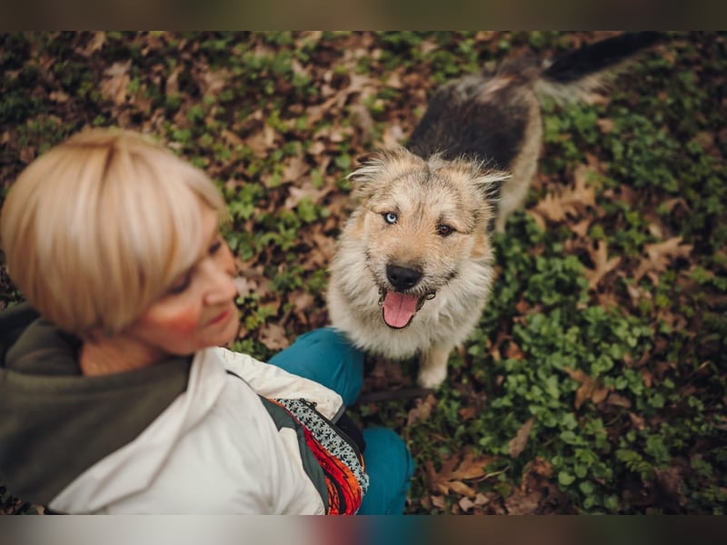 Frohnatur Osya ❤️ möchte ankommen
