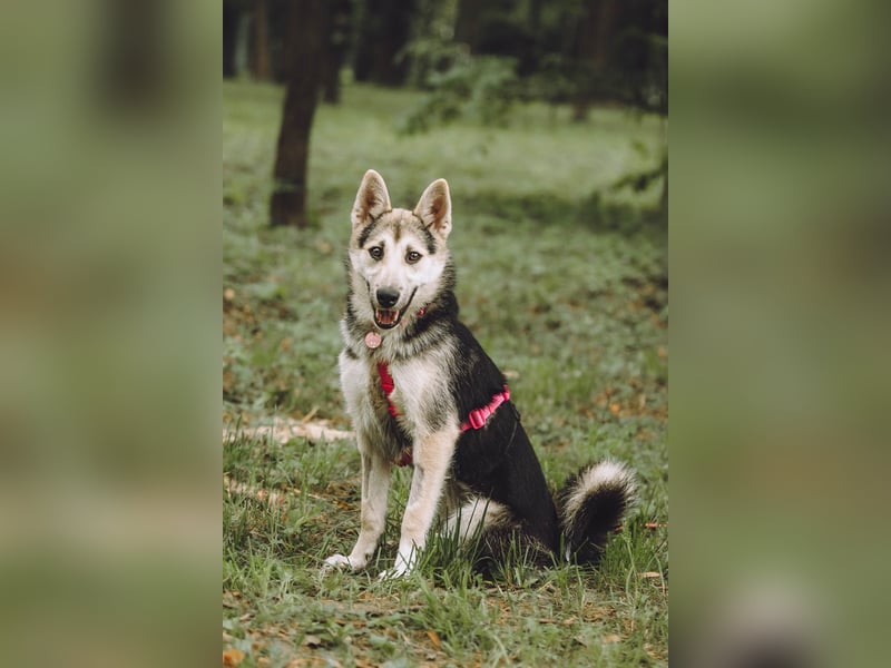 Fröhliche Kayla ❤️ sucht ihre Lieblingsmenschen