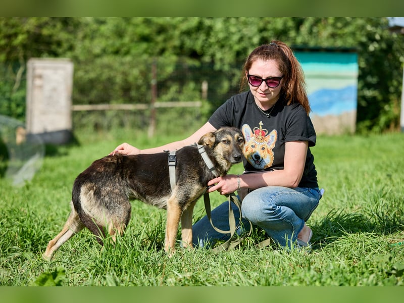 Elfi ❤️ Junge, freundliche Hündin sucht ihr Für-immer-Zuhause