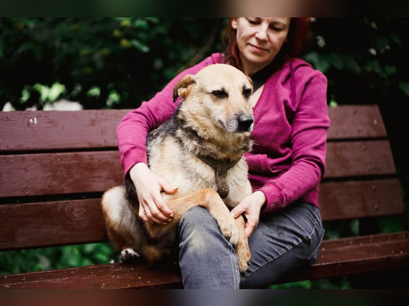 Sehr menschenbezogene Hündin Kuba ❤️ aus dem Tierschutz