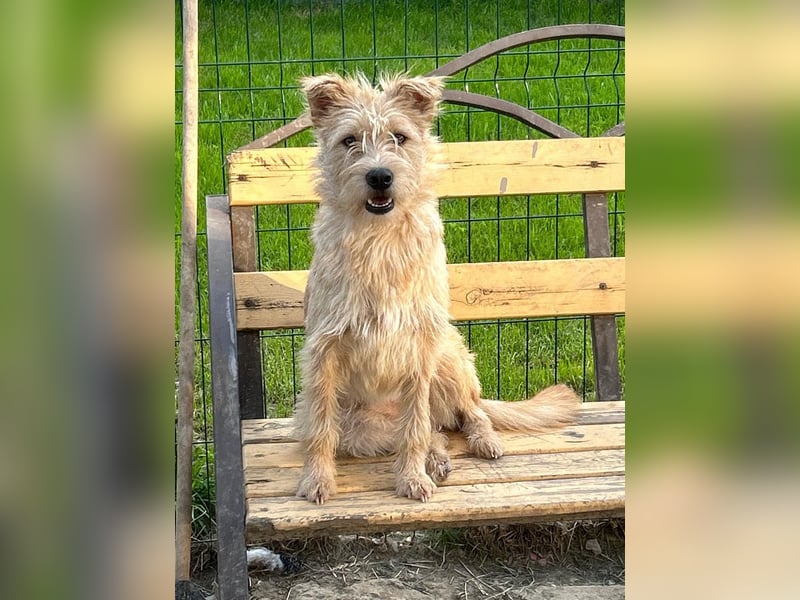 Lisette ❤️ hofft auf ein Happy End