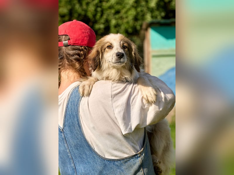 Faya ❤️ Kleine Kuschelprinzessin sucht ihre Herzensmenschen