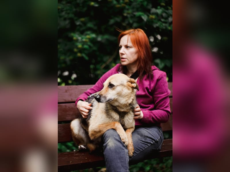 Sehr menschenbezogene Hündin Kuba ❤️ aus dem Tierschutz