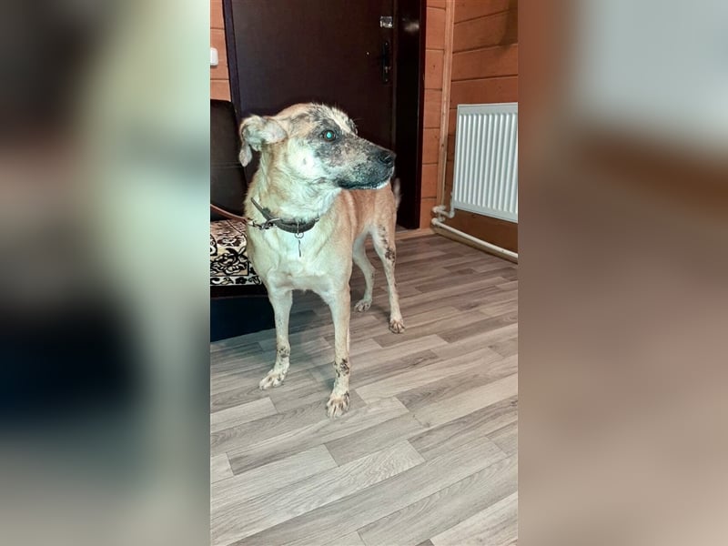 Ryzhyk ❤️  - wahre Schönheit kommt von innen