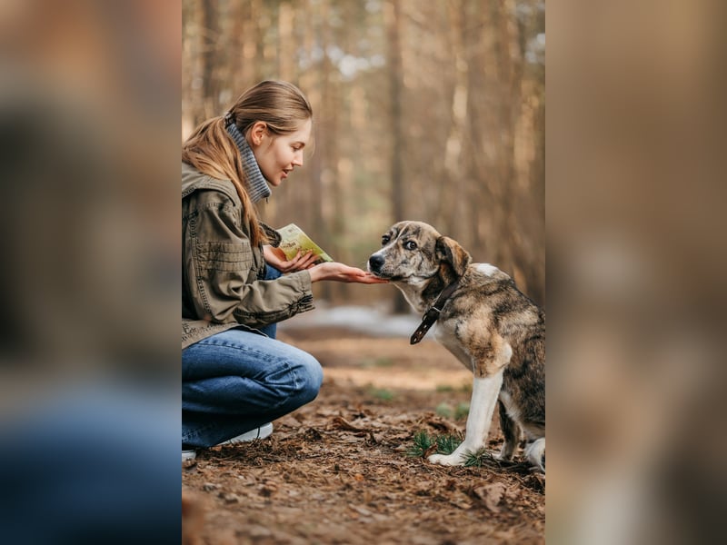 Verspielter Mitya ❤️ wünscht sich liebevolle Menschen