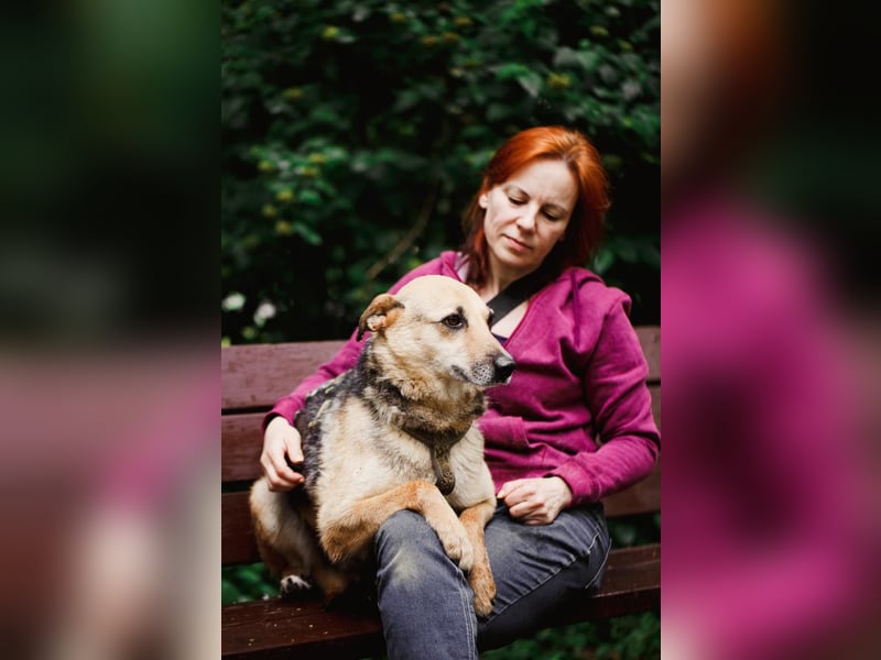 Sehr menschenbezogene Hündin Kuba ❤️ aus dem Tierschutz