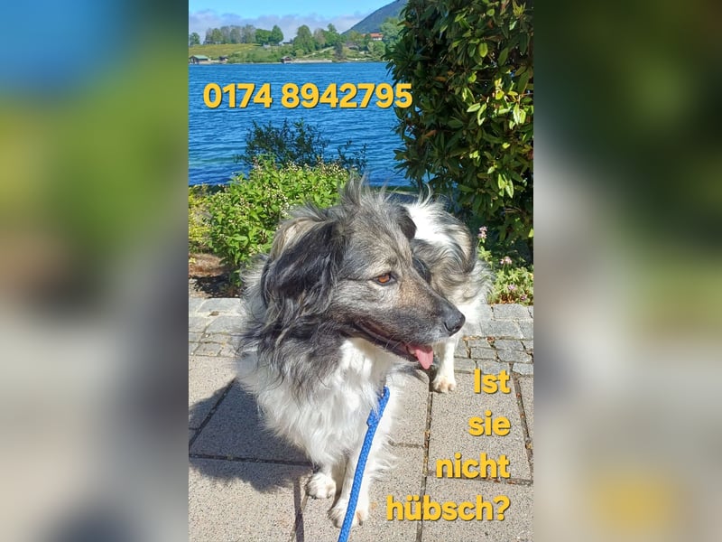 CINTIA sucht liebevolles Zuhause