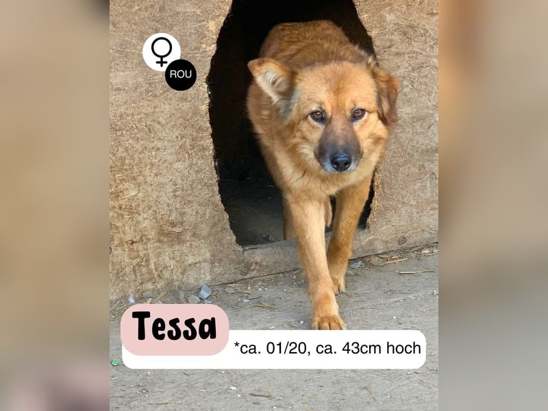 Sanfte TESSA sucht DIch!