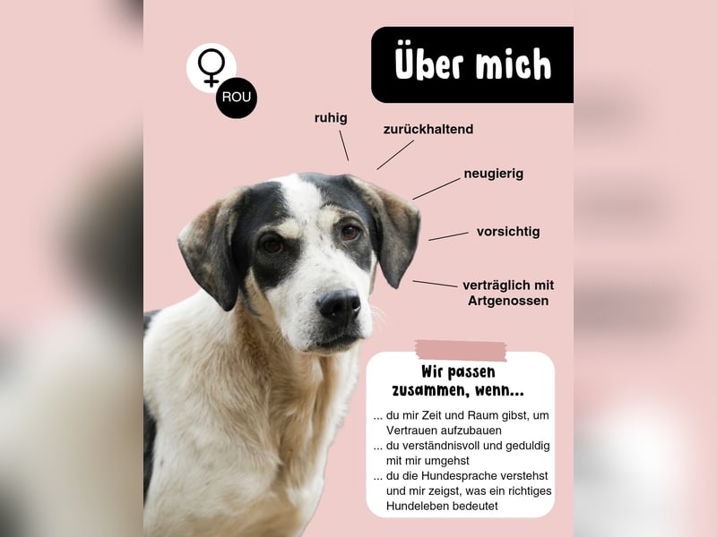 Ruhige Heidi