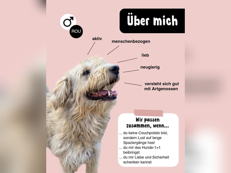 Liebevoller und aktiver LORD