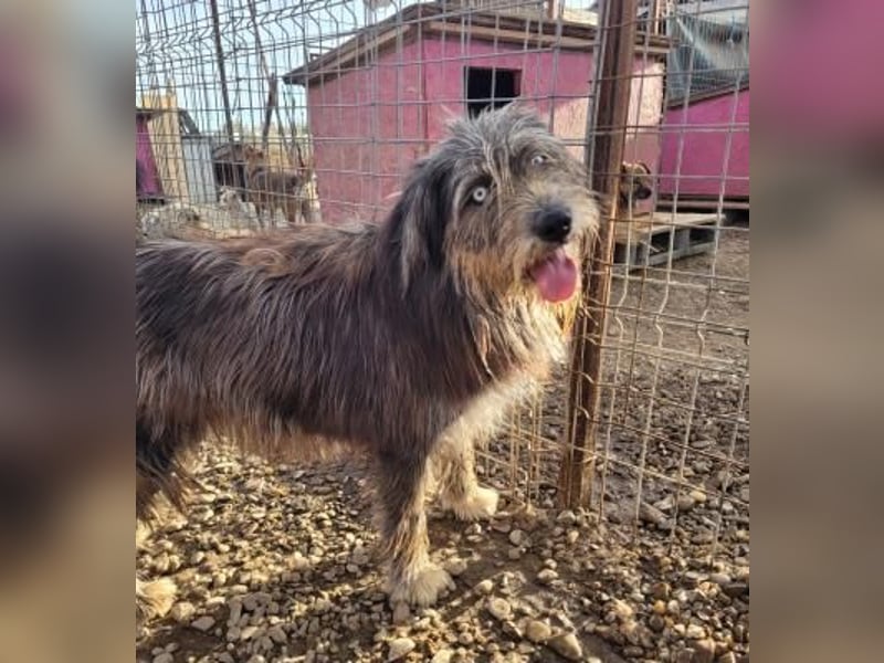 BLUE - Ozeanblaue Augen suchen DICH