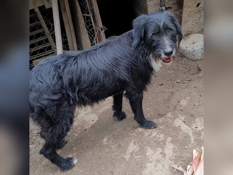 BLACKY möchte das Leben kennenlernen