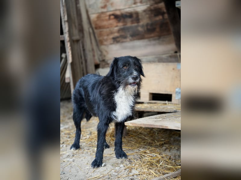 BLACKY möchte das Leben kennenlernen