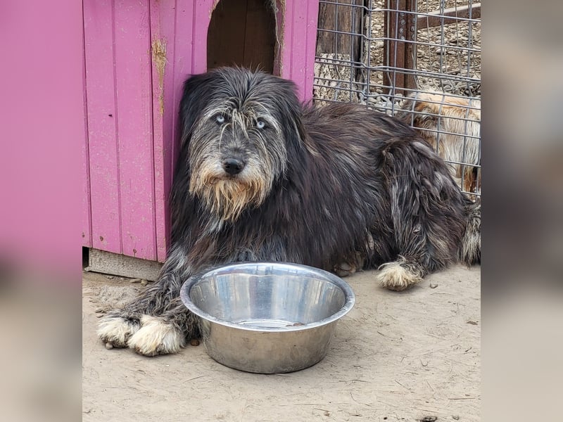 BLUE - Ozeanblaue Augen suchen DICH