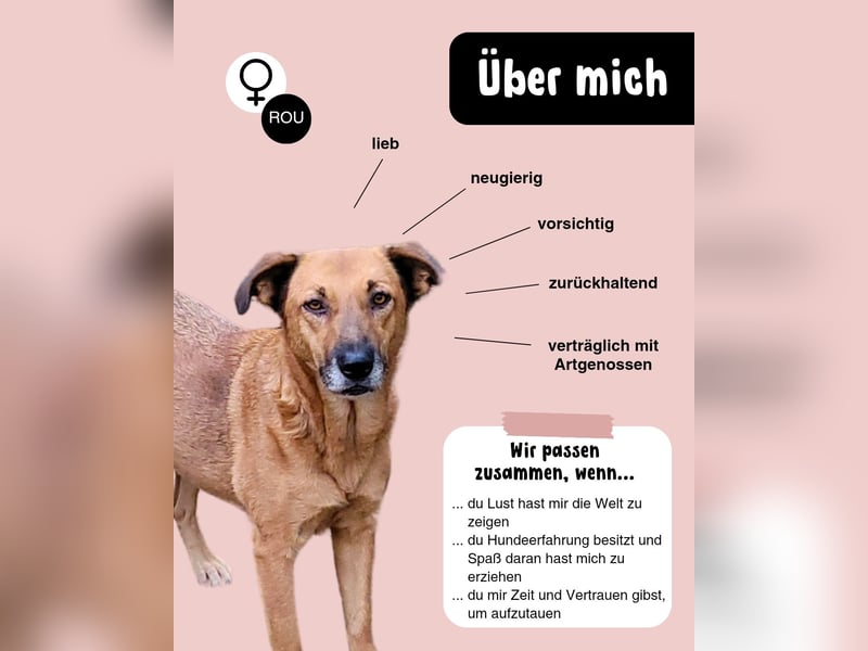 Zeigst du FINE die Welt?