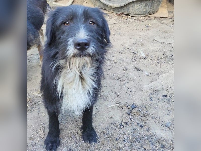 BLACKY möchte das Leben kennenlernen