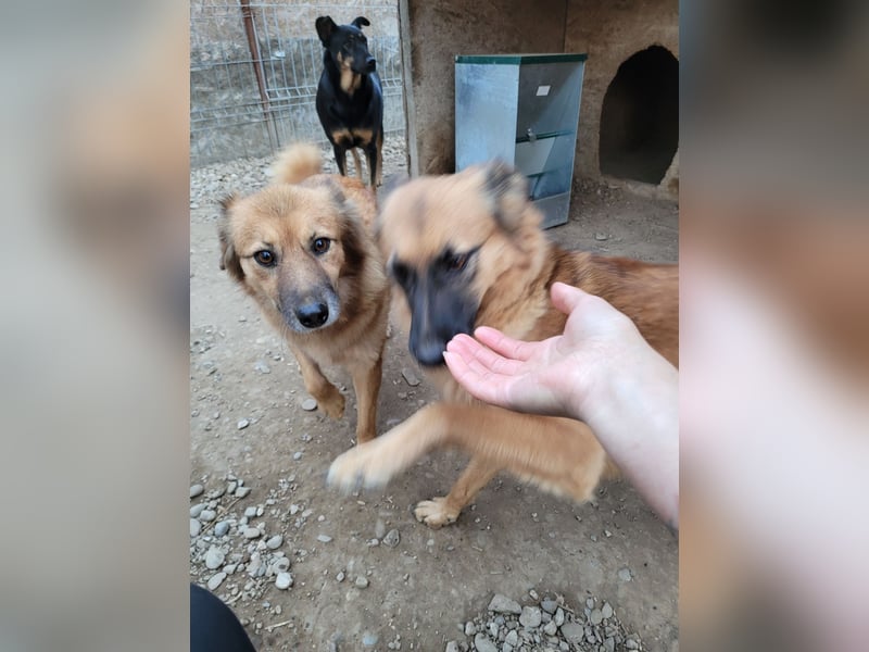 Sanfte TESSA sucht DIch!