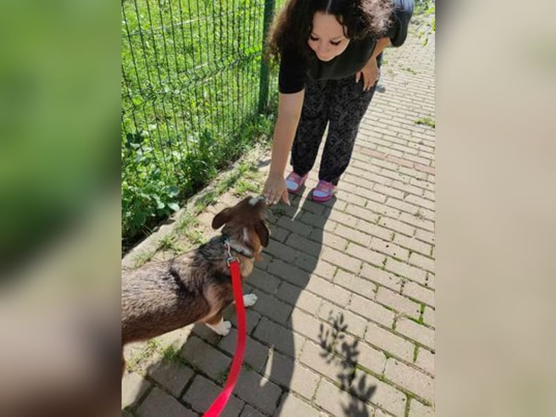 Schöne große Gemma - sucht Halt und Sicherheit