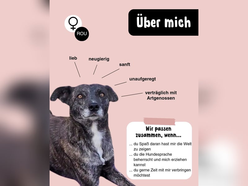 LARA die sanfte Seele
