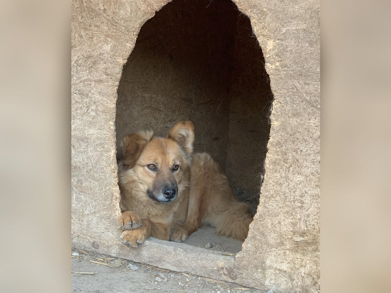 Sanfte TESSA sucht DIch!