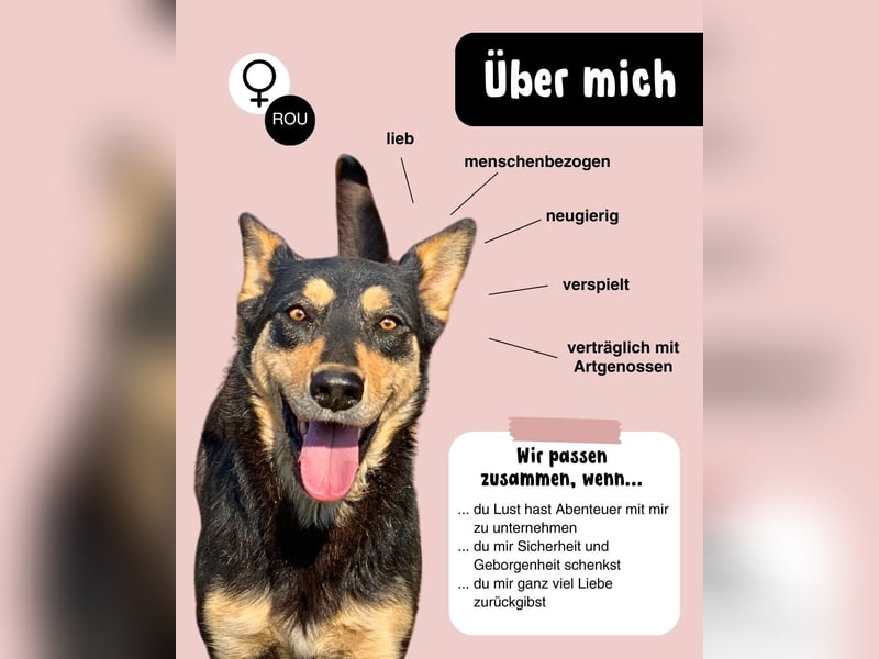 Hübsche MIA