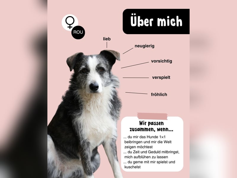 Die fröhliche JUNA sucht Dich