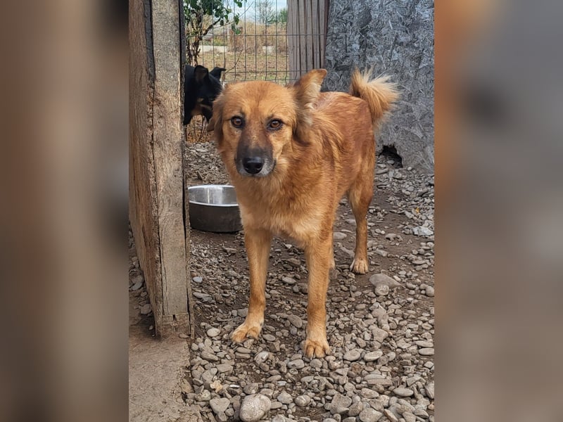 Sanfte TESSA sucht DIch!