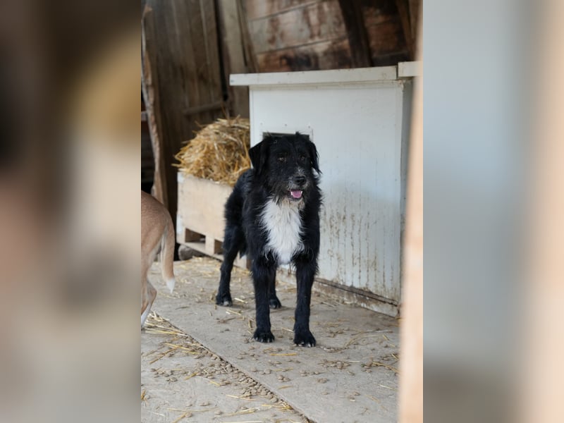 BLACKY möchte das Leben kennenlernen