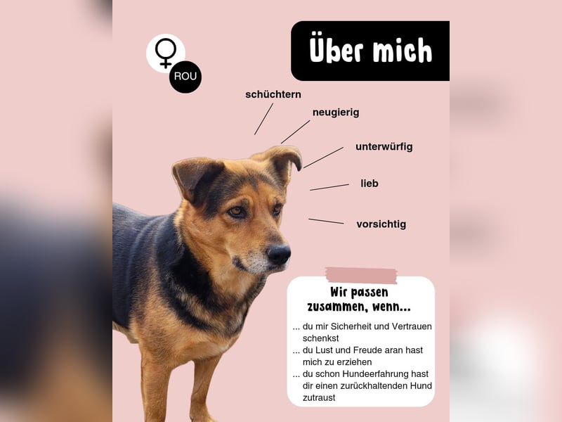 Sensible CHARLIE sucht ihre Menschen