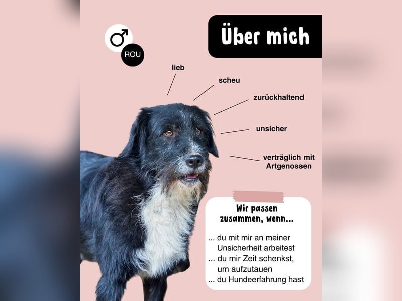 BLACKY möchte das Leben kennenlernen