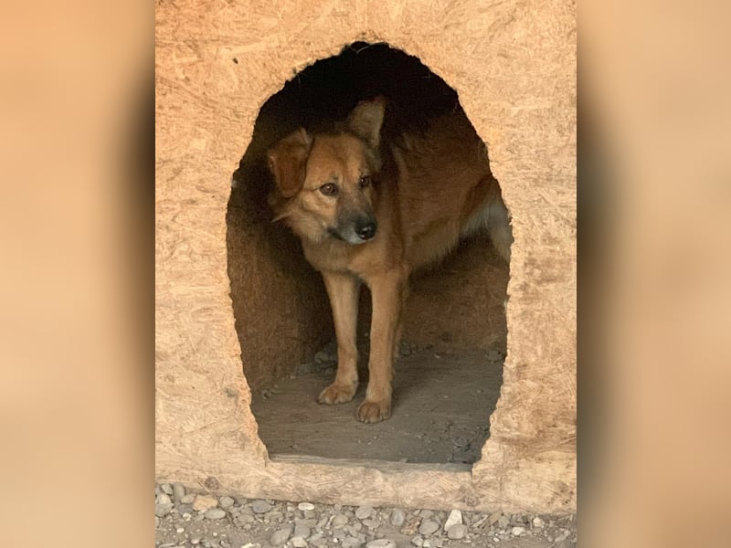 Sanfte TESSA sucht DIch!