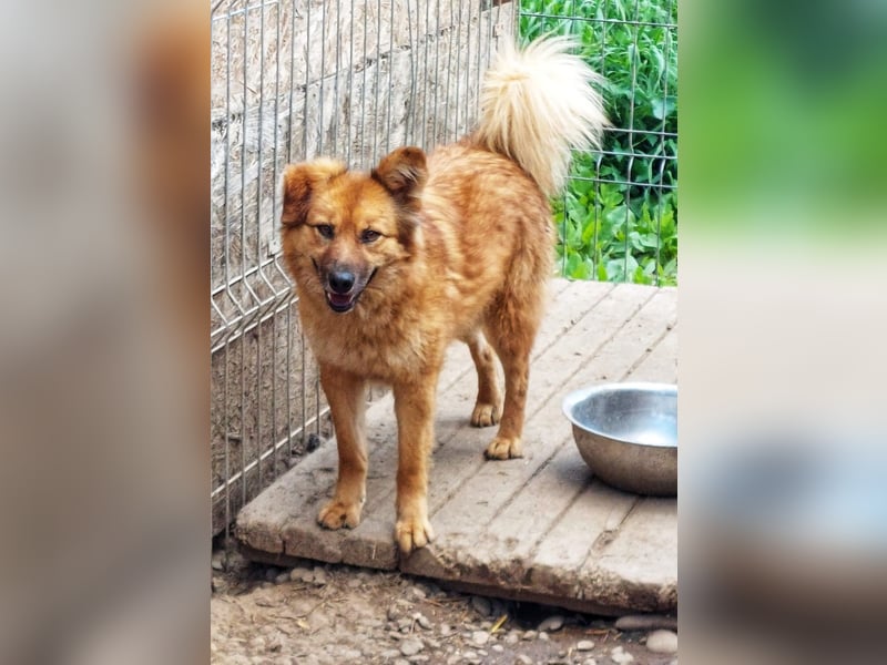 Sanfte TESSA sucht DIch!