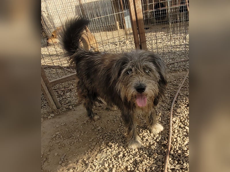 BLUE - Ozeanblaue Augen suchen DICH