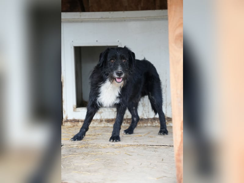 BLACKY möchte das Leben kennenlernen